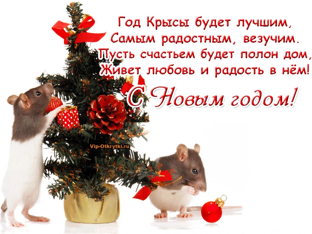 Короткие Поздравления С Новым Годом Мыши